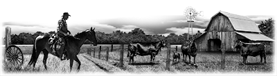 002SC-WESTERN.png 002SC-WESTERN - Image 1