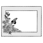 004SC-BORDER.png 004SC-BORDER - Image 1
