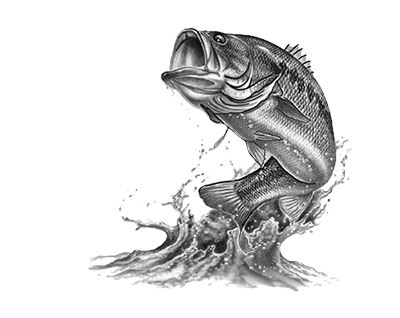014ST-FISH.png 014ST-FISH - Image 1