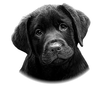 025ST-PET.png 025ST-PET - Image 1