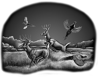 031ST-DEER.png 031ST-DEER - Image 1