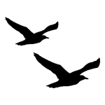 ANI069.png ANI069 - Image 1