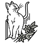 ANI078.png ANI078 - Image 1