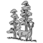 ANI181.png ANI181 - Image 1