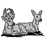 ANI182.png ANI182 - Image 1