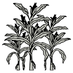 FARM06.png FARM06 - Image 1