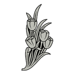 FLOR48.png FLOR48 - Image 1