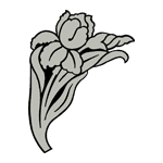 FLOR78.png FLOR78 - Image 1